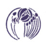 Torrington Dental Practice
